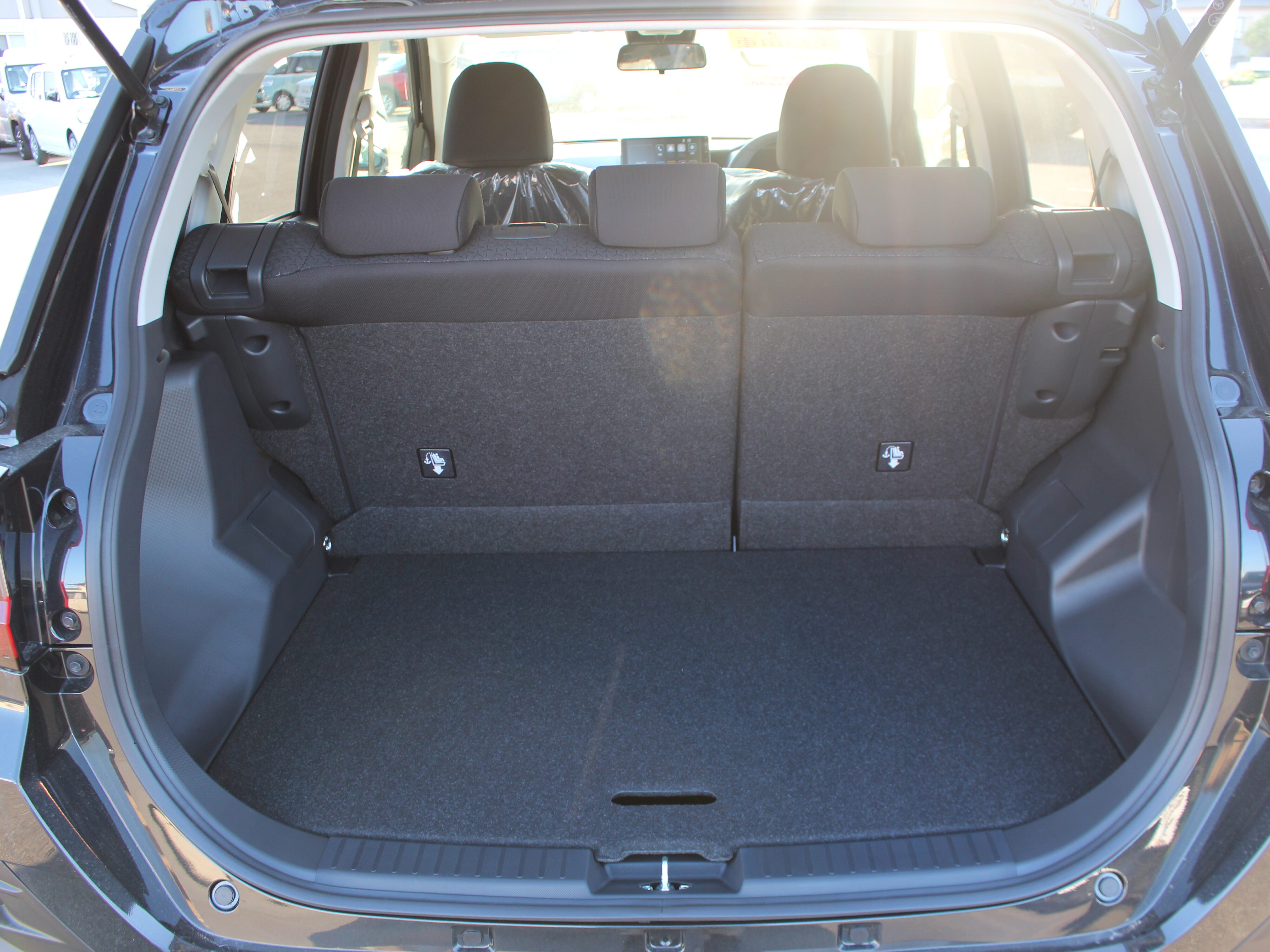 ライズ　Z  パノラマミックビューパッケージ