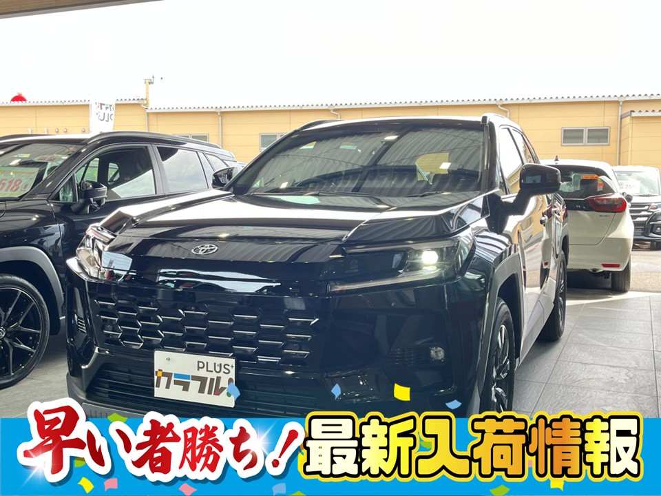 RAV４　HB　Z