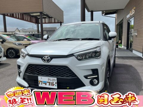 ライズ　Z　パノラマミックビューパッケージ付