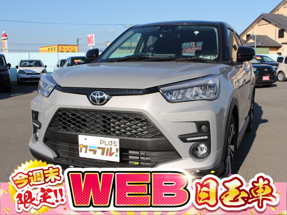 ライズ　Z　パノラマミックビューパッケージ付