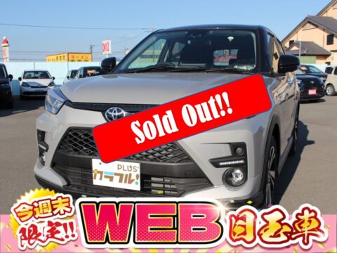 ライズ　Z　パノラマミックビューパッケージ付