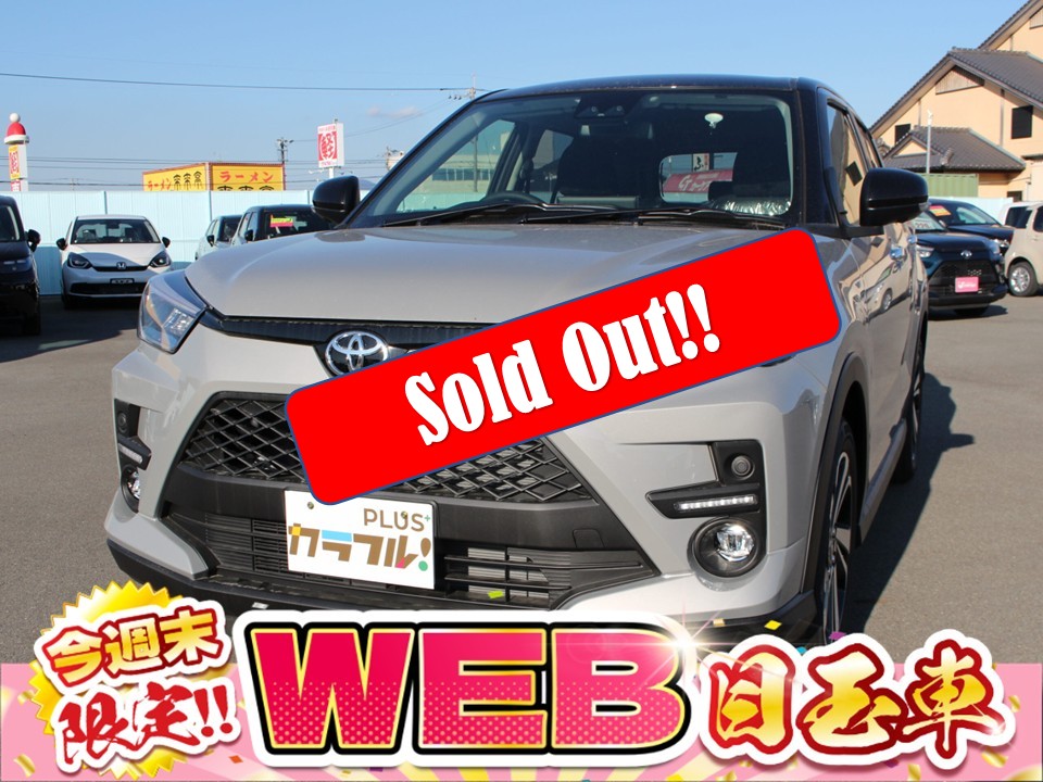 ライズ　Z　パノラマミックビューパッケージ付