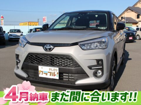 ライズ　Z　パノラマミックビューパッケージ付