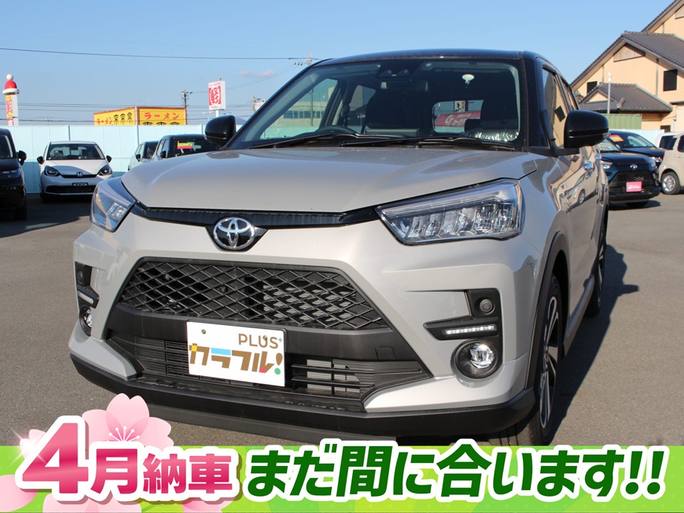 ライズ　Z　パノラマミックビューパッケージ付